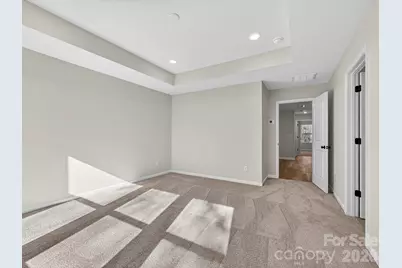 233 Alluvium Lane, Waxhaw, NC 28173 - Photo 17