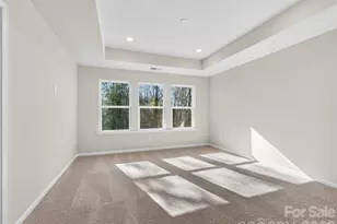 233 Alluvium Ln, Waxhaw, NC 28173 - Photo 15