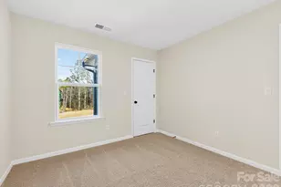 233 Alluvium Ln, Waxhaw, NC 28173 - Photo 21