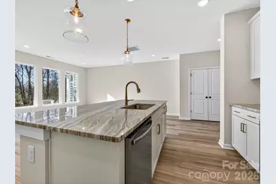 233 Alluvium Lane, Waxhaw, NC 28173 - Photo 7