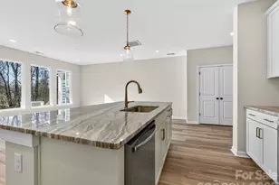 233 Alluvium Ln, Waxhaw, NC 28173 - Photo 7