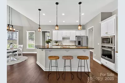 6603 Latta Springs Circle, Huntersville, NC 28078 - Photo 15