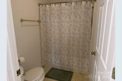 3910 Azalea Trail, Denver, NC 28037 - Photo 19