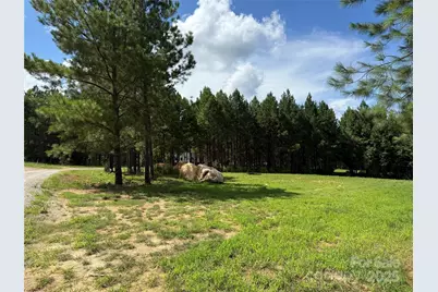 9304 Richardson King Road, Waxhaw, NC 28173 - Photo 7