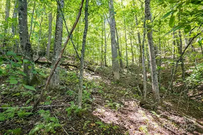 14 Rachel Fay Drive, Hendersonville, NC 28739 - Photo 31