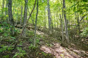 14 Rachel Fay Dr, Hendersonville, NC 28739 - Photo 31