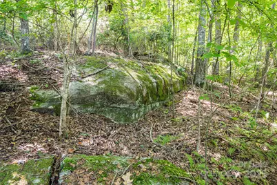 14 Rachel Fay Drive, Hendersonville, NC 28739 - Photo 33