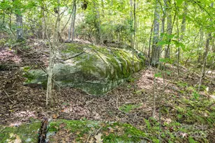 14 Rachel Fay Dr, Hendersonville, NC 28739 - Photo 33