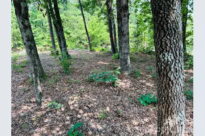 8799 Lisa Trail, Connelly Springs, NC 28612 - Photo 39