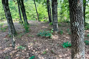 8799 Lisa Trail, Connelly Springs, NC 28612 - Photo 39