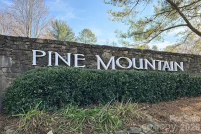8799 Lisa Trail, Connelly Springs, NC 28612 - Photo 3