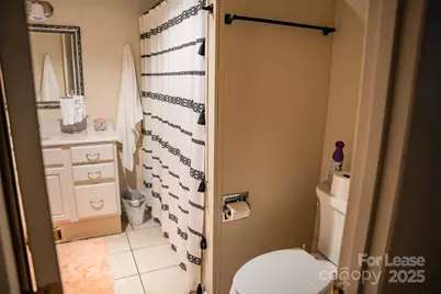 1967 McKinney Mine Road, Spruce Pine, NC 28777 - Photo 39