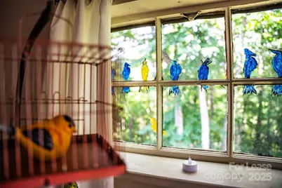 1967 McKinney Mine Road, Spruce Pine, NC 28777 - Photo 41