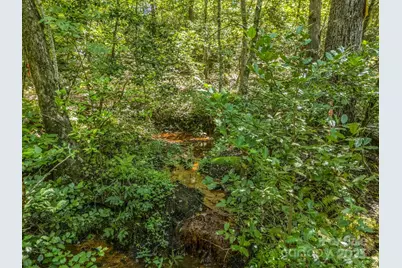 231 Wandering Bear Way, Lake Lure, NC 28746 - Photo 37