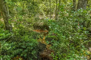 231 Wandering Bear Wy, Lake Lure, NC 28746 - Photo 37