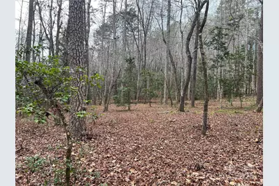 231 Wandering Bear Way, Lake Lure, NC 28746 - Photo 35