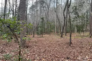 231 Wandering Bear Wy, Lake Lure, NC 28746 - Photo 35