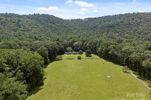 193 Duncan Creek Rd, Fletcher, NC 28732 - Photo 3