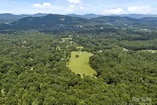 193 Duncan Creek Rd, Fletcher, NC 28732 - Photo 11