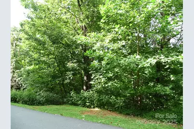 Lot 35 Morning Ride Drive #Lot 35, Columbus, NC 28722 - Photo 3