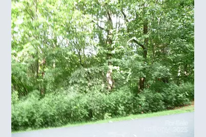 Lot 35 Morning Ride Drive #Lot 35, Columbus, NC 28722 - Photo 5