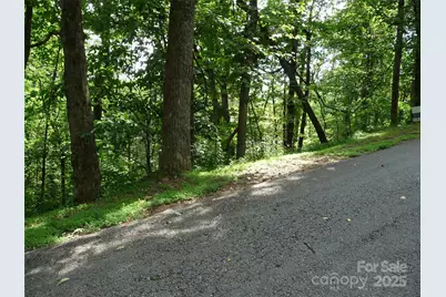 Lot 12 Sunset Ridge Drive #Lot 12, Columbus, NC 28722 - Photo 5