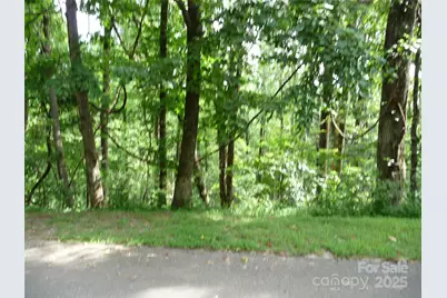 Lot 12 Sunset Ridge Drive #Lot 12, Columbus, NC 28722 - Photo 3
