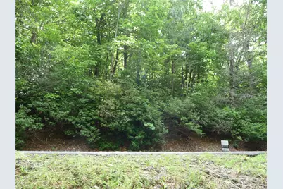 Lot 70 Serpentine Drive #Lot 70, Columbus, NC 28722 - Photo 3