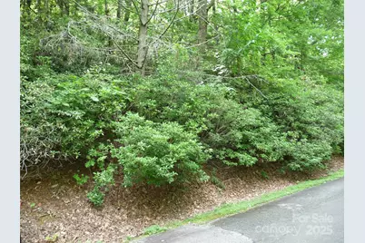 Lot 70 Serpentine Drive #Lot 70, Columbus, NC 28722 - Photo 5