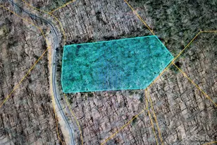 Lot 70 Serpentine Dr, Columbus, NC 28722 - Photo 1