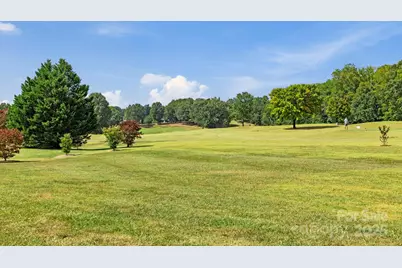 7 15th Vantage Street, Campobello, SC 29322 - Photo 45