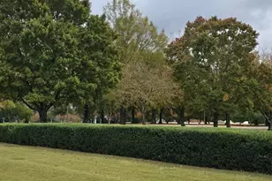 7 15th Vantage St, Campobello, SC 29322 - Photo 37