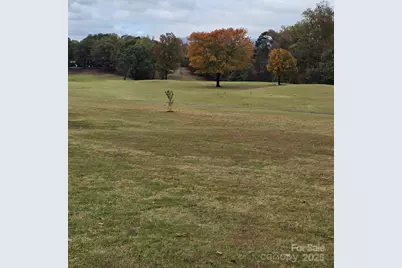 7 15th Vantage Street, Campobello, SC 29322 - Photo 39