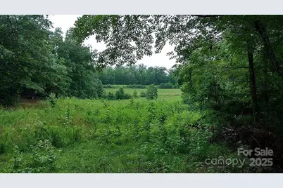 V/L Ridge Point Road #19, Nebo, NC 28761 - Photo 19