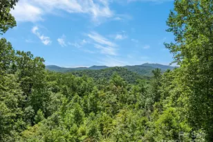 670 Barber Rd, Zirconia, NC 28790 - Photo 17