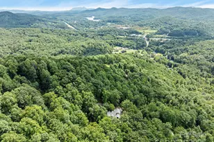 670 Barber Rd, Zirconia, NC 28790 - Photo 15