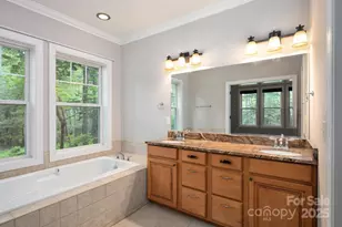 17 Bohemian Ln, Asheville, NC 28805 - Photo 19