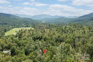 17 Bohemian Ln, Asheville, NC 28805 - Photo 45