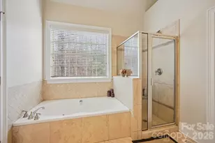 329 Stumpy Creek Rd, Mooresville, NC 28117 - Photo 17