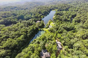 36 Macedonia W Dr, Saluda, NC 28773 - Photo 5