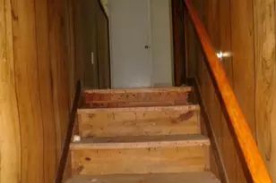 620 Hutch Mountain Rd, Fletcher, NC 28732 - Photo 19