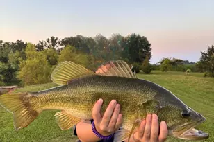 7204 E 218 Hwy, Marshville, NC 28103 - Photo 47