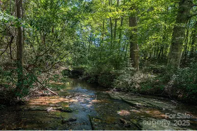 448 Dave Peterson Lane, Vale, NC 28168 - Photo 41