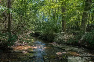 448 Dave Peterson Ln, Vale, NC 28168 - Photo 41