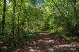 448 Dave Peterson Ln, Vale, NC 28168 - Photo 39