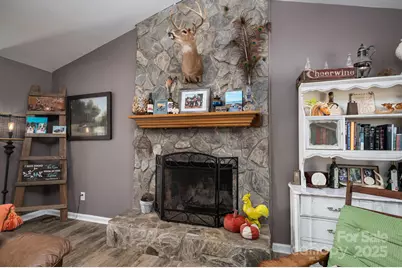 448 Dave Peterson Lane, Vale, NC 28168 - Photo 11