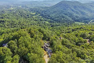 366 Ben Nevis Rd, Brevard, NC 28712 - Photo 45