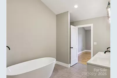 366 Ben Nevis Road, Brevard, NC 28712 - Photo 27