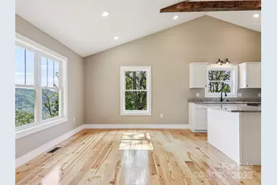 366 Ben Nevis Road, Brevard, NC 28712 - Photo 9