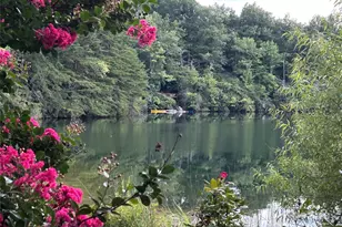 545 Summit Rd, Tryon, NC 28782 - Photo 25